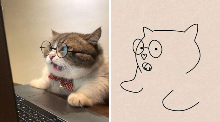 Funny-Poorly-Drawn-Animals-Poorlydraws