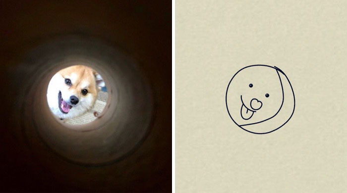 Funny-Poorly-Drawn-Animals-Poorlydraws