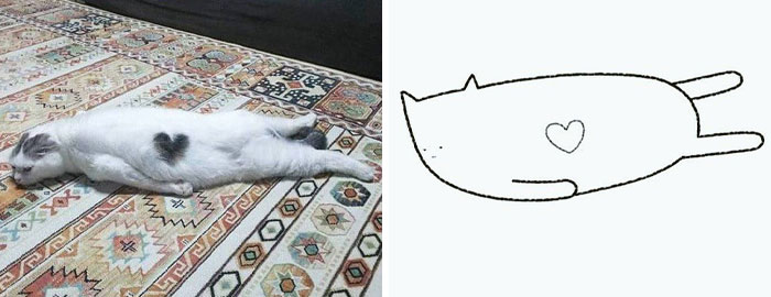 Funny-Poorly-Drawn-Animals-Poorlydraws