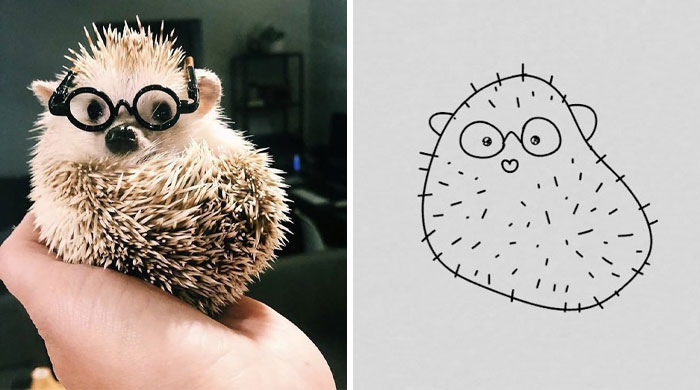 Funny-Poorly-Drawn-Animals-Poorlydraws