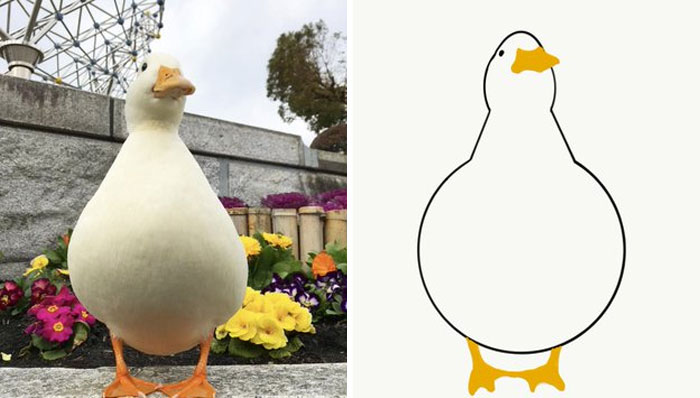 Funny-Poorly-Drawn-Animals-Poorlydraws