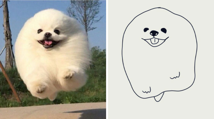 Funny-Poorly-Drawn-Animals-Poorlydraws