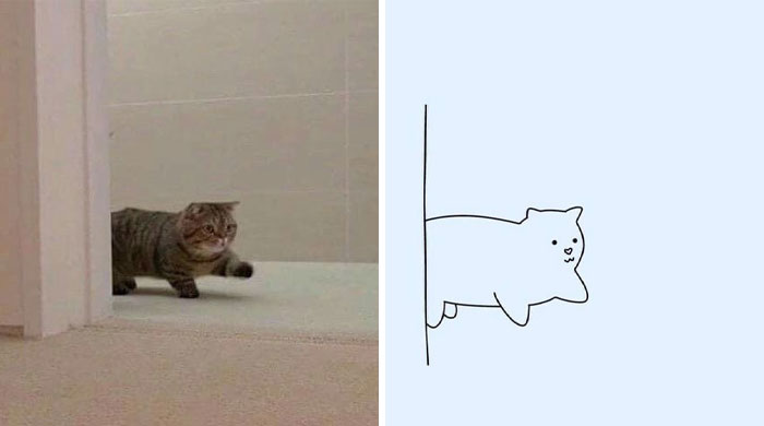 Funny-Poorly-Drawn-Animals-Poorlydraws