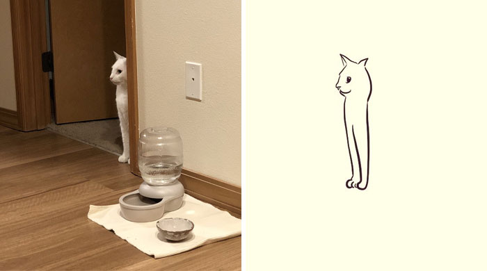 Funny-Poorly-Drawn-Animals-Poorlydraws