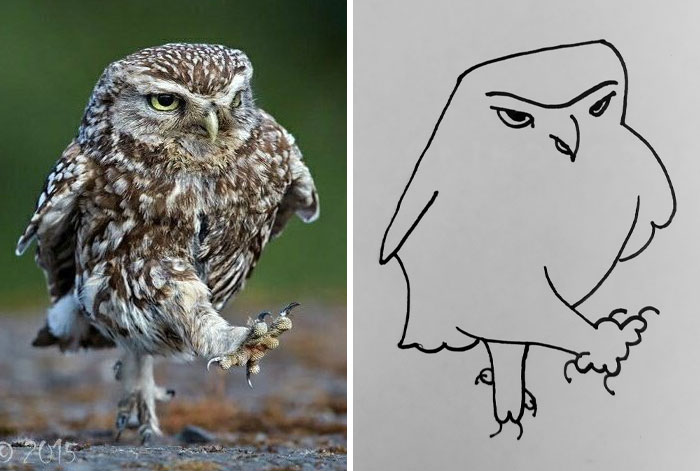 Funny-Poorly-Drawn-Animals-Poorlydraws