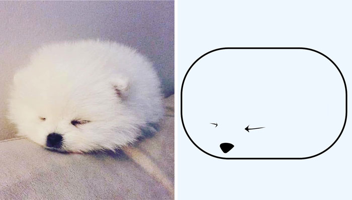 Funny-Poorly-Drawn-Animals-Poorlydraws