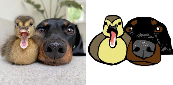 Funny-Poorly-Drawn-Animals-Poorlydraws