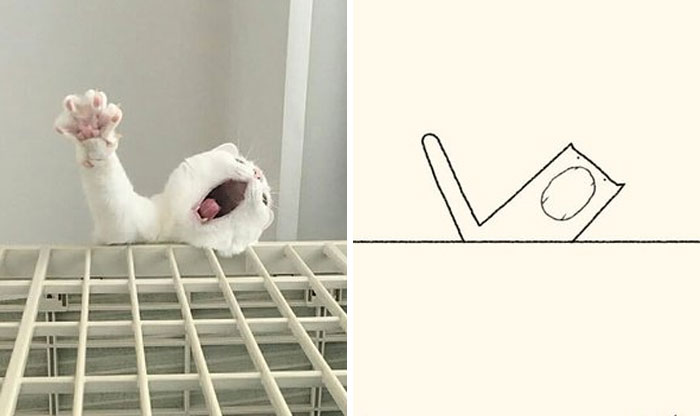 Funny-Poorly-Drawn-Animals-Poorlydraws