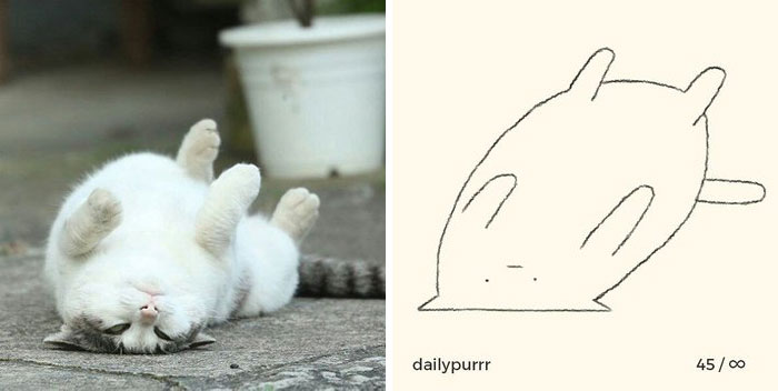 Funny-Poorly-Drawn-Animals-Poorlydraws