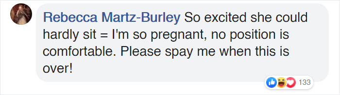 This Pit Bull Gets Her Own Maternity Photoshoot And She Looks Absolutely Glowing