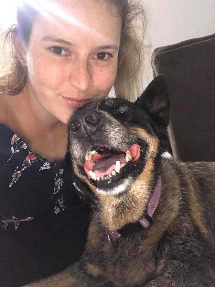 Rescue-Dogs-Stories-Megan-Burris