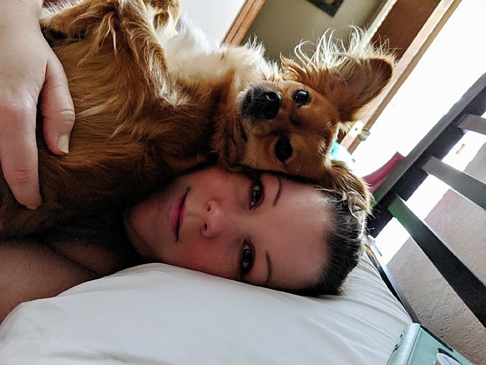 Rescue-Dogs-Stories-Megan-Burris