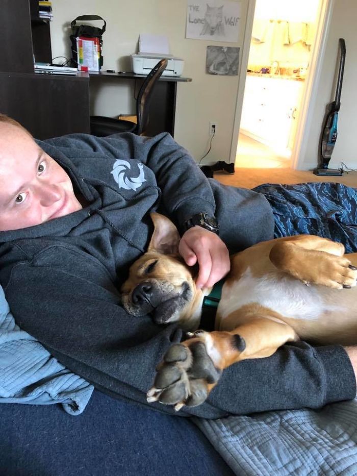 Rescue-Dogs-Stories-Megan-Burris