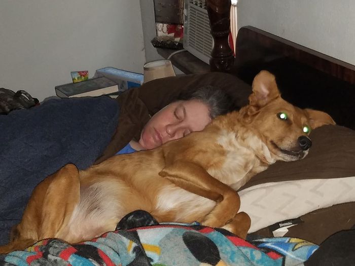 Rescue-Dogs-Stories-Megan-Burris