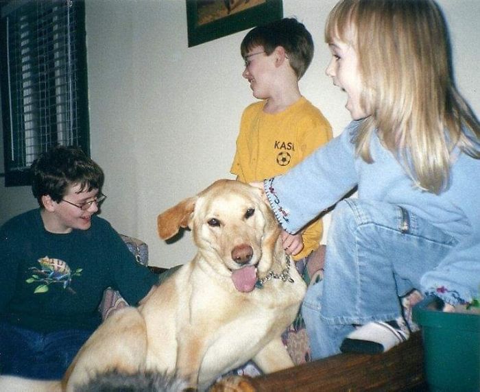 Rescue-Dogs-Stories-Megan-Burris