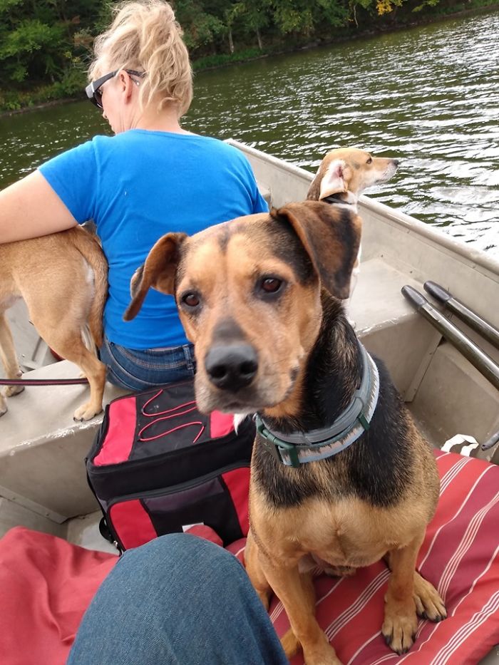 Rescue-Dogs-Stories-Megan-Burris