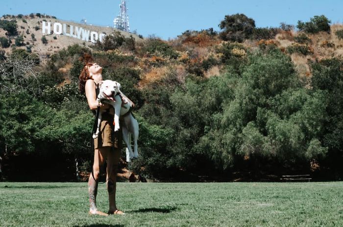 Rescue-Dogs-Stories-Megan-Burris