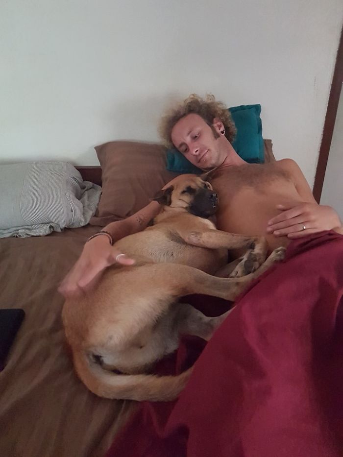 Rescue-Dogs-Stories-Megan-Burris