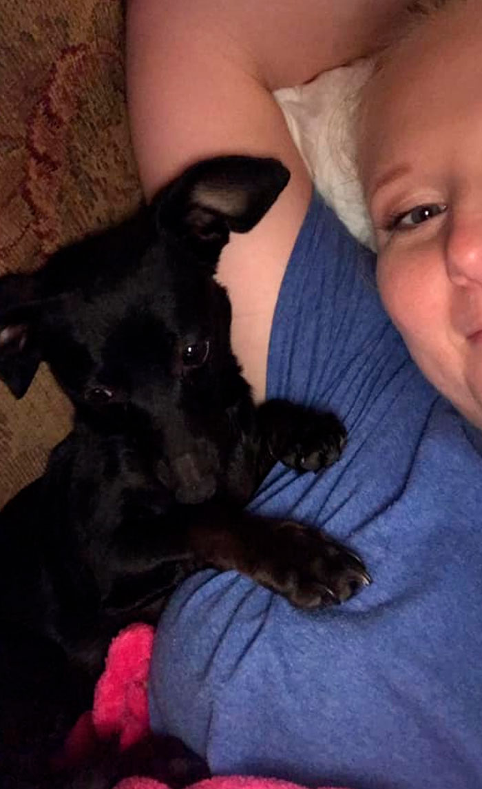 Rescue-Dogs-Stories-Megan-Burris