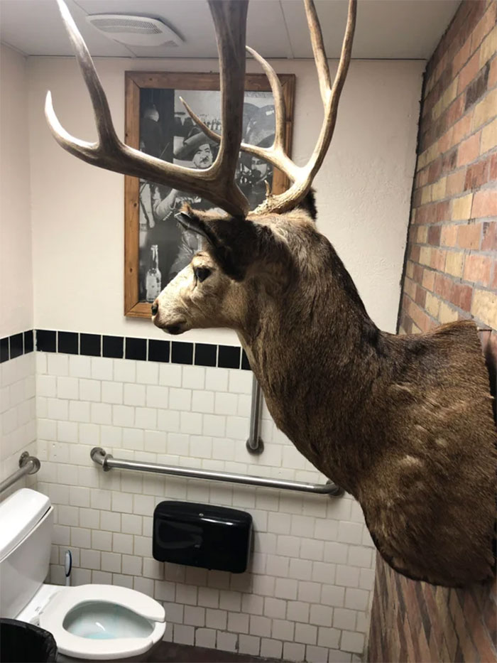 Mexican Restaurant In Salt Lake City. Scared The Crap Out Of Me When I Opened The Door