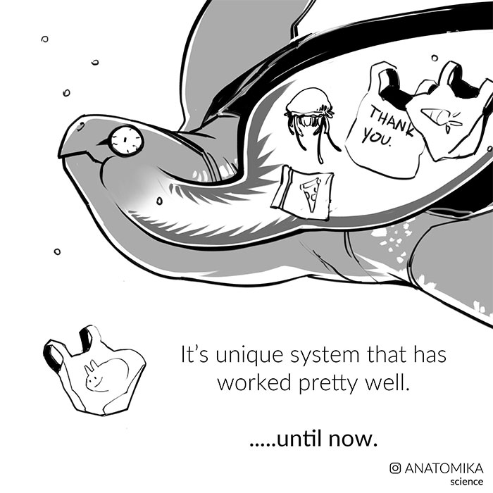 Sea Turtles Have Terrifying Mouths And This Person Explains The Science Behind It