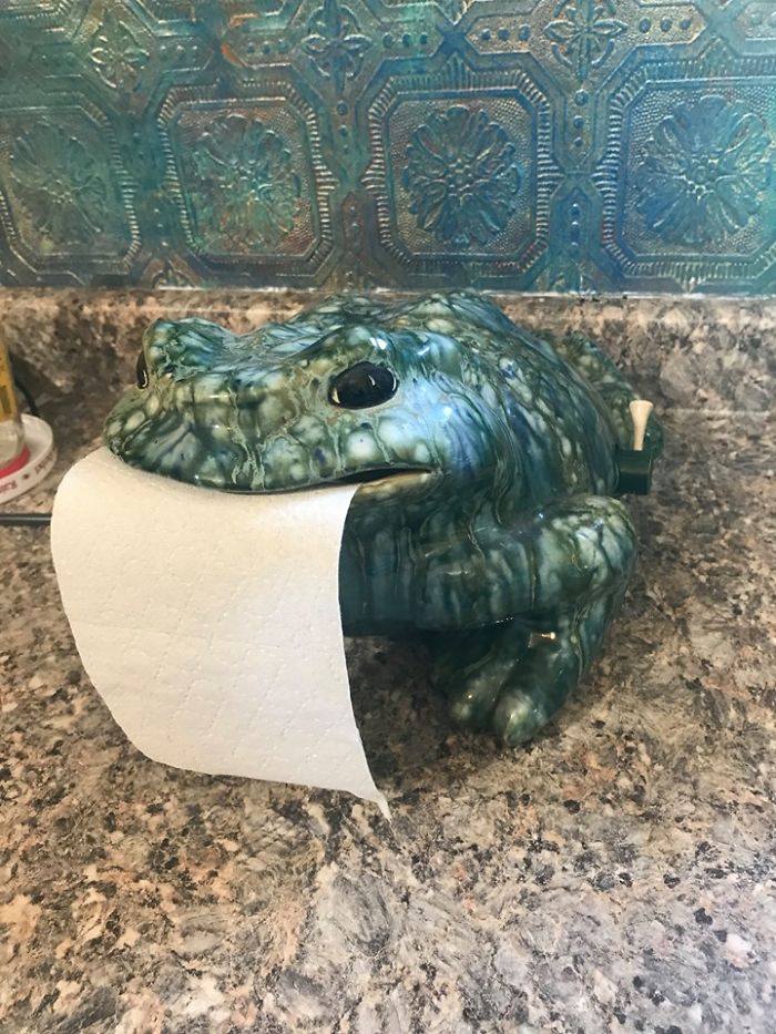Have You Ever Seen A Cooler TP Dispenser?