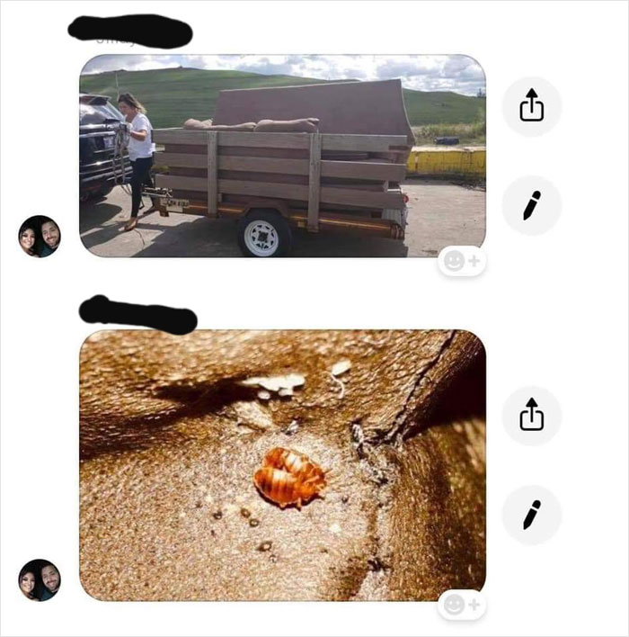 "Single Mom" Tries To Scam Person She Bought A Couch From With Fake Bed Bug Pics, Gets Owned