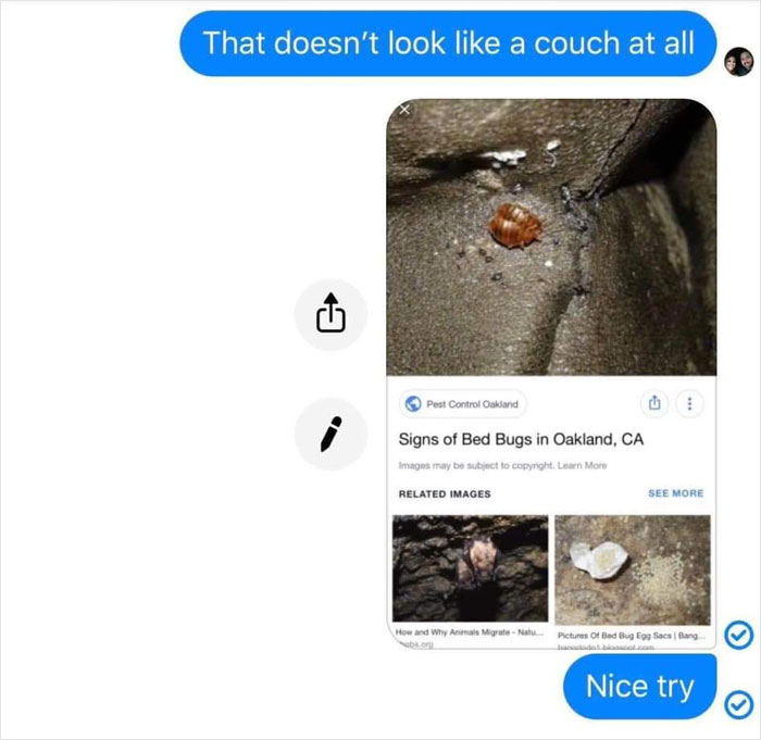"Single Mom" Tries To Scam Person She Bought A Couch From With Fake Bed Bug Pics, Gets Owned
