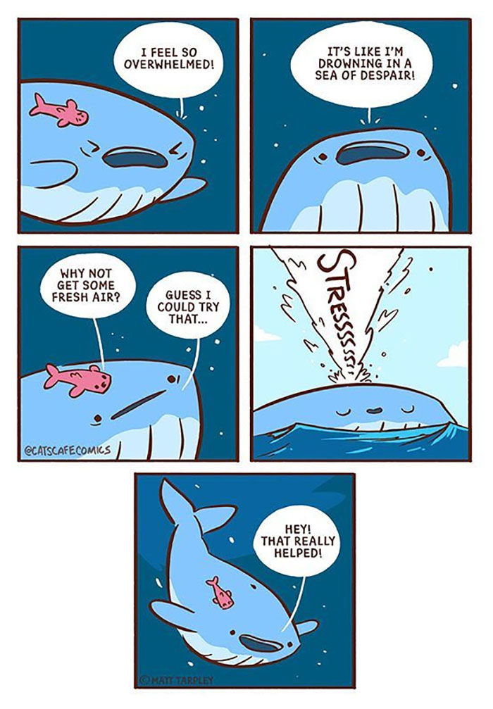 32 Wholesome Comics By Cat's Cafe That Will Brighten Your Day.