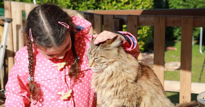 Meet Our Animals Who Help Special Needs Children In Ways That We, Humans, Struggle To