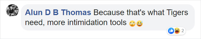 Turns Out, Tigers Have Spots That Look Like Eyes On Their Ears To Confuse Prey Turns Out, Tigers Have Spots That Look Like Eyes On Their Ears To Confuse Prey
