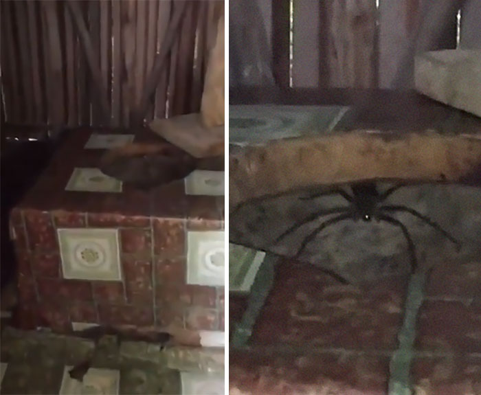 Toilets-With-Threatening-Auras