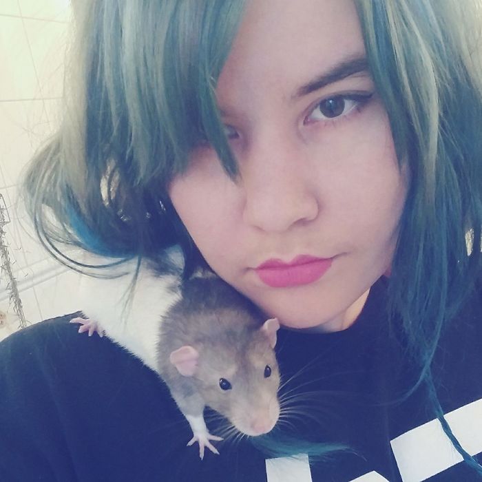 If You Haven't Smiled Today, Meet Darius, The Rat Who Was Taught To Paint If You Haven't Smiled Today, Meet Darius, The Rat Who Was Taught To Paint