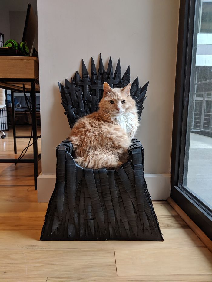Arthur The Cat Just Got His Own Iron Throne And It's A Better Ending Than The Season 8 Finale Arthur The Cat Just Got His Own Iron Throne And It's A Better Ending Than The Season 8 Finale