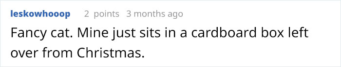 Arthur The Cat Just Got His Own Iron Throne And It's A Better Ending Than The Season 8 Finale