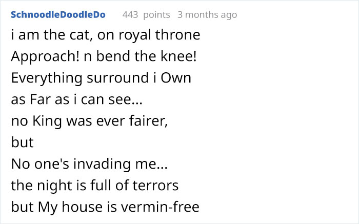 Arthur The Cat Just Got His Own Iron Throne And It's A Better Ending Than The Season 8 Finale Arthur The Cat Just Got His Own Iron Throne And It's A Better Ending Than The Season 8 Finale