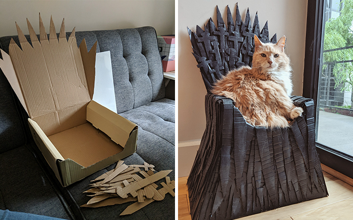 Arthur The Cat Just Got His Own Iron Throne And It’s A Better Ending Than The Season 8 Finale