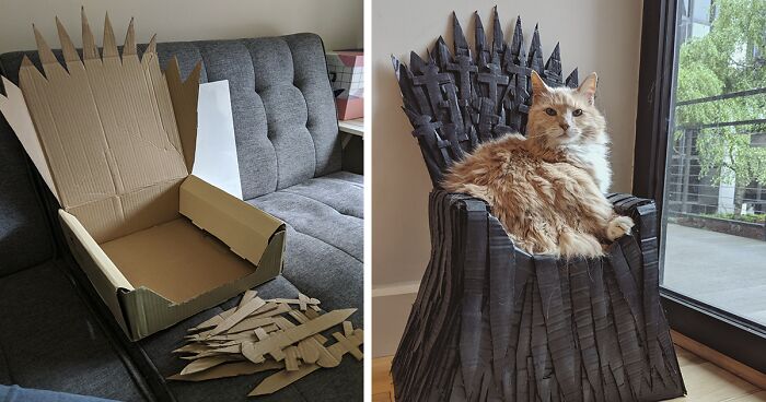 Arthur The Cat Just Got His Own Iron Throne And It’s A Better Ending Than The Season 8 Finale