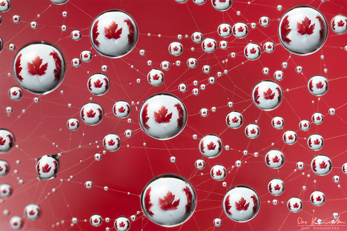 Mapple Leaf Flag Refraction