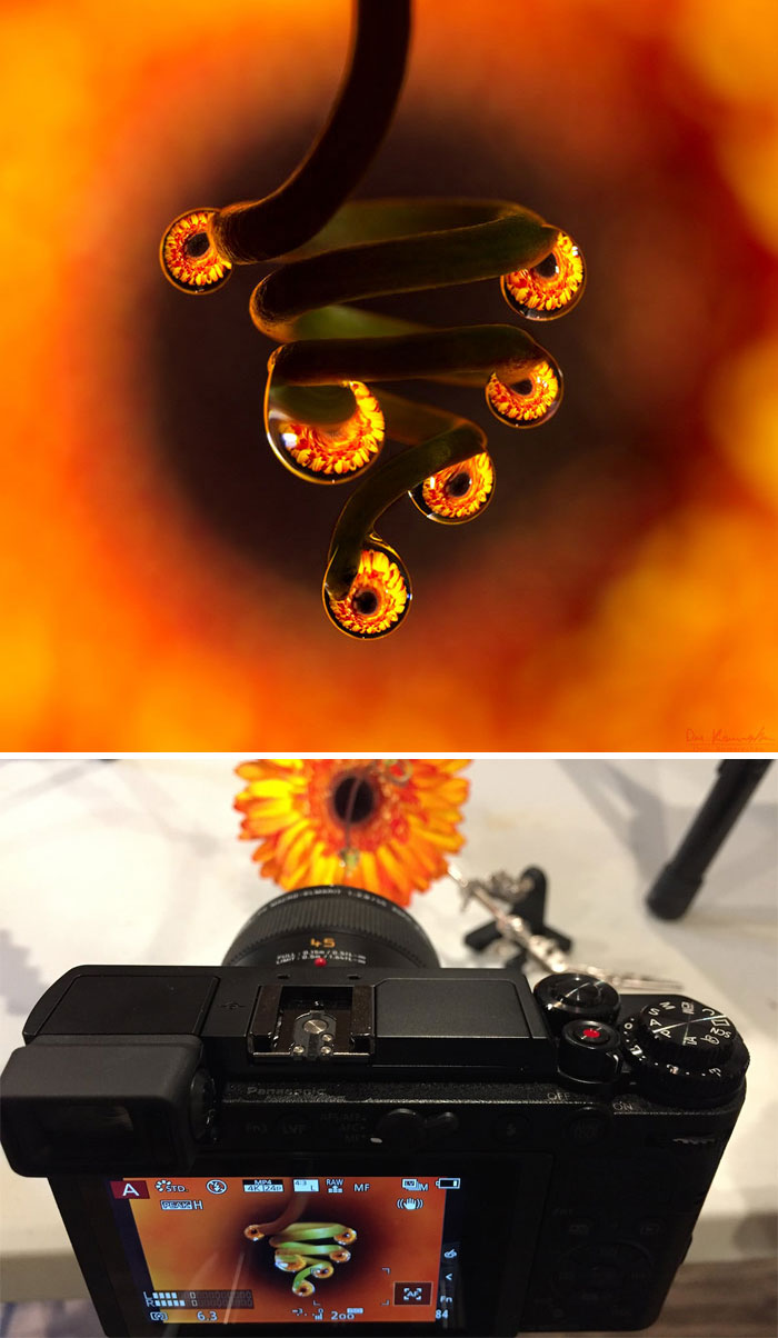 Corkscrew Chandelier