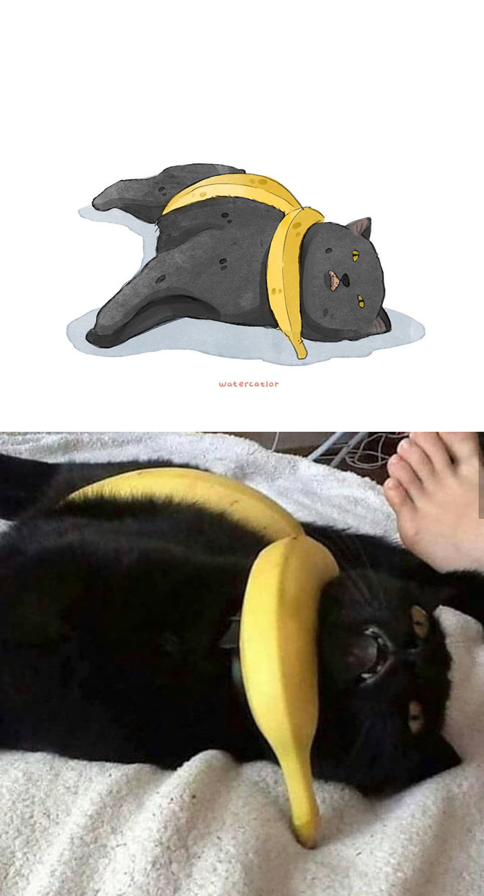 Digital-Watercolor-Cat-Paintings-Watercatlor