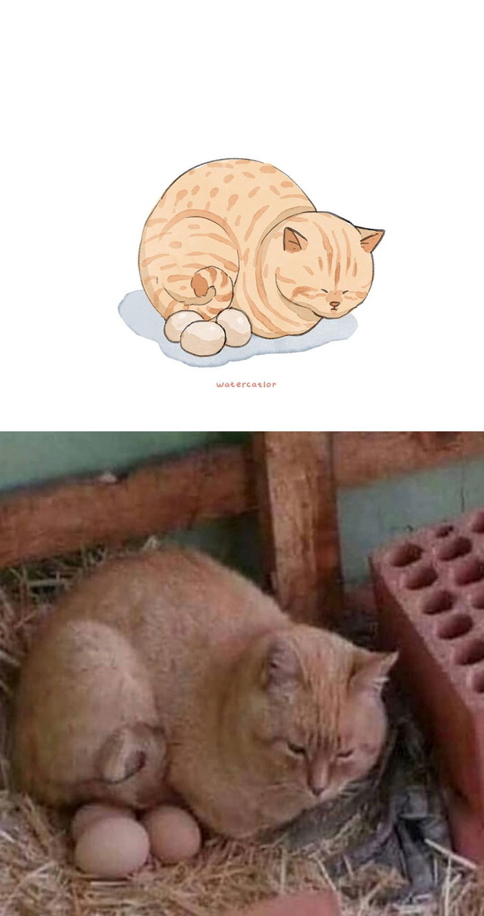 Digital-Watercolor-Cat-Paintings-Watercatlor