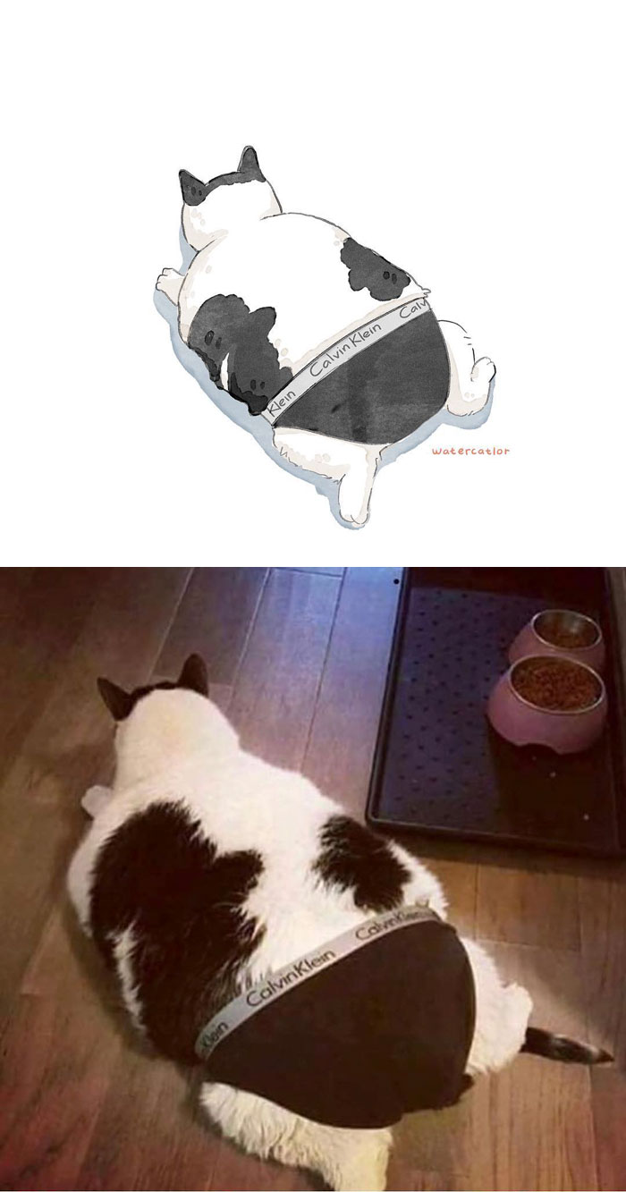 Digital-Watercolor-Cat-Paintings-Watercatlor