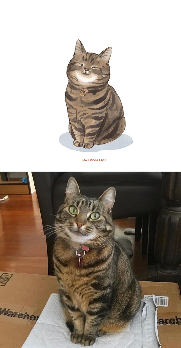 Digital-Watercolor-Cat-Paintings-Watercatlor