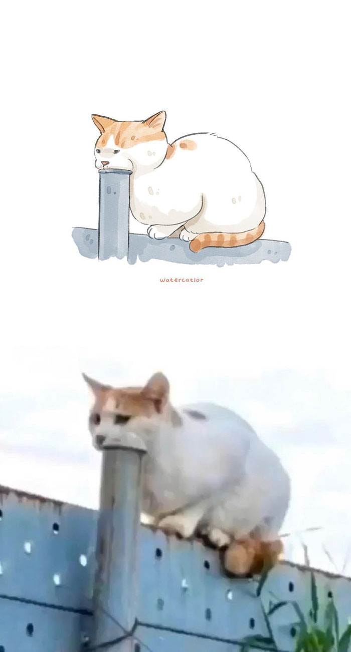 Digital-Watercolor-Cat-Paintings-Watercatlor