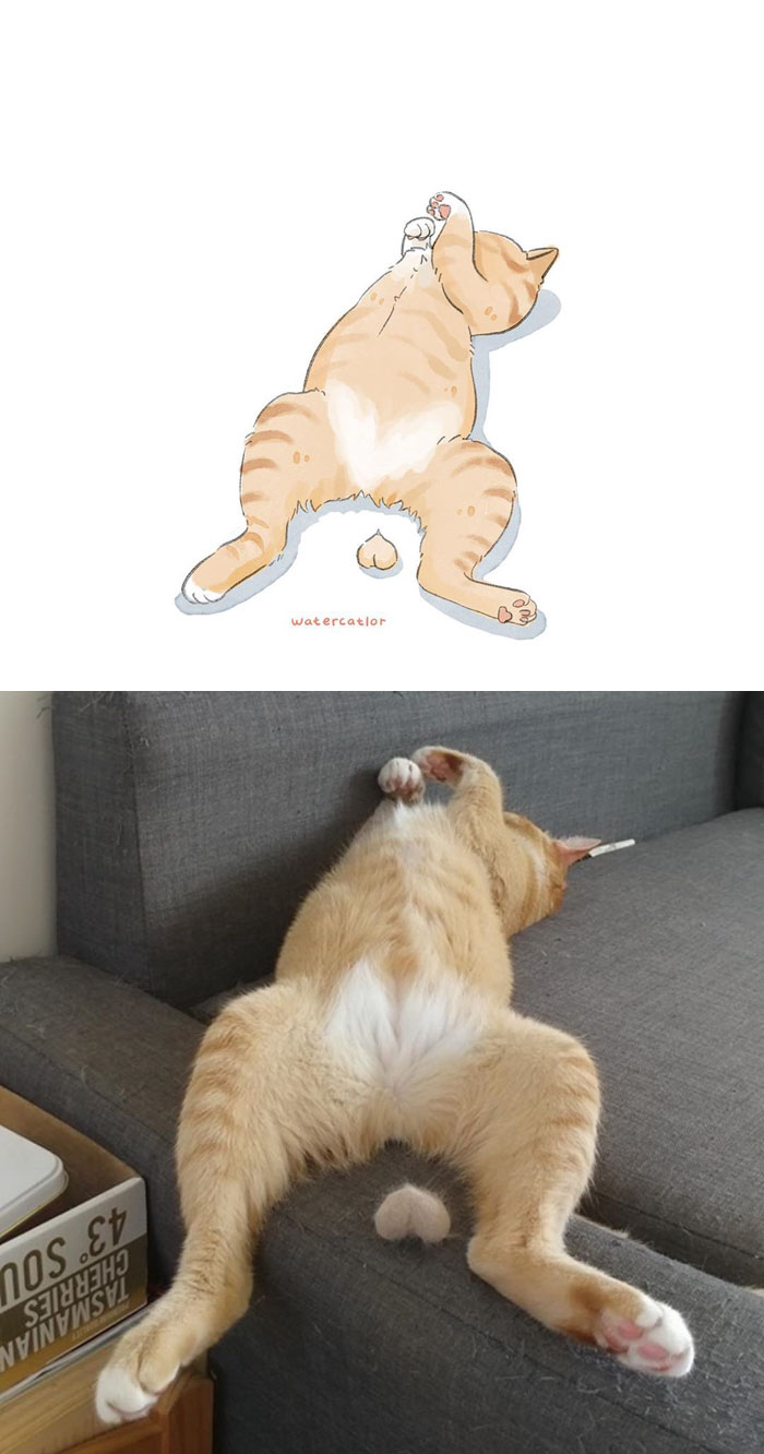 Digital-Watercolor-Cat-Paintings-Watercatlor