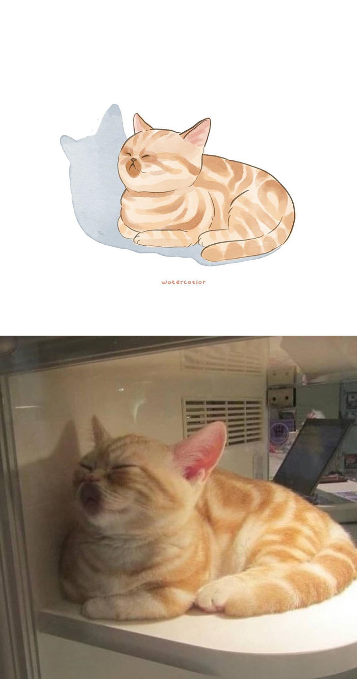 Digital-Watercolor-Cat-Paintings-Watercatlor