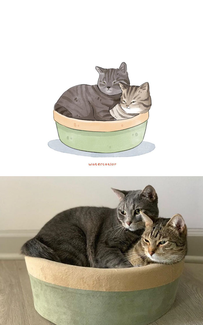 Digital-Watercolor-Cat-Paintings-Watercatlor