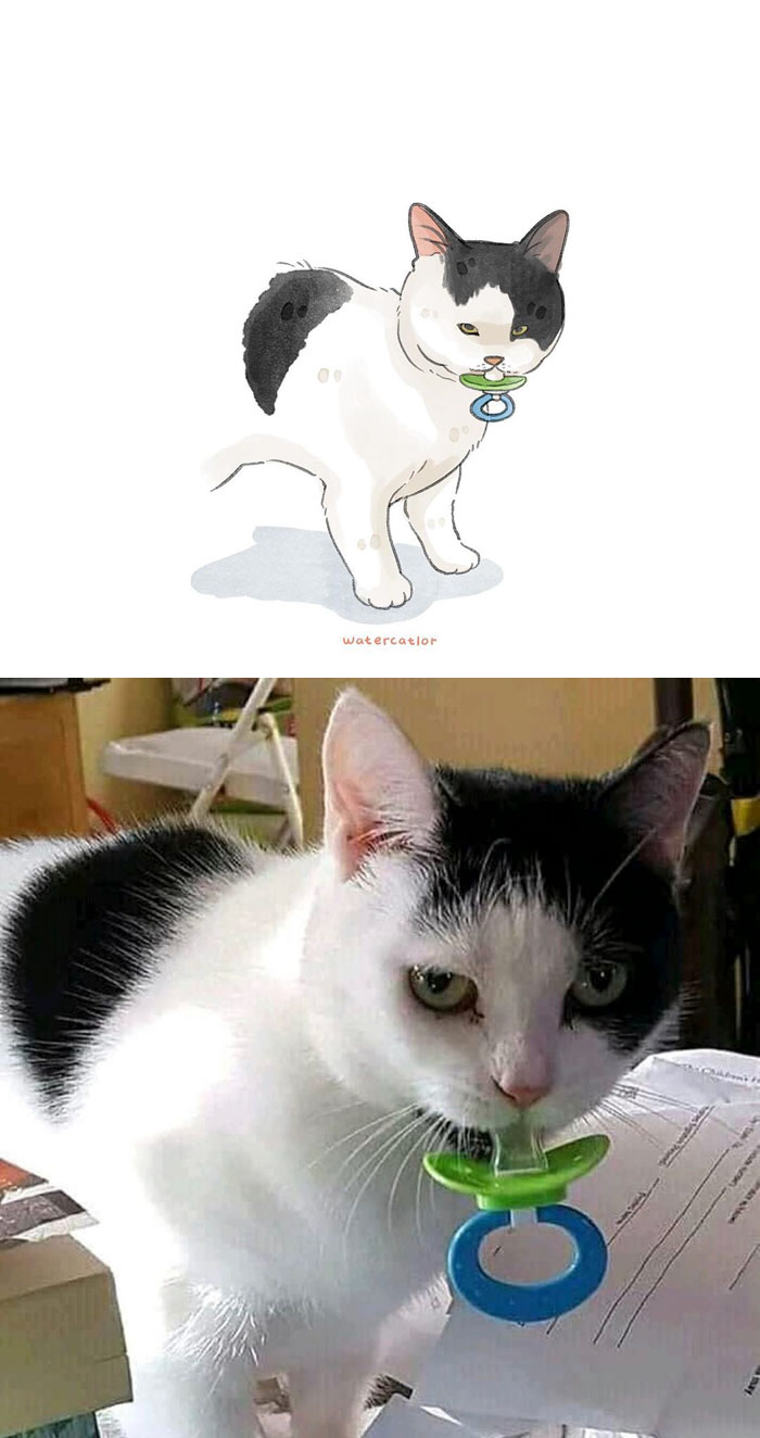 Digital-Watercolor-Cat-Paintings-Watercatlor
