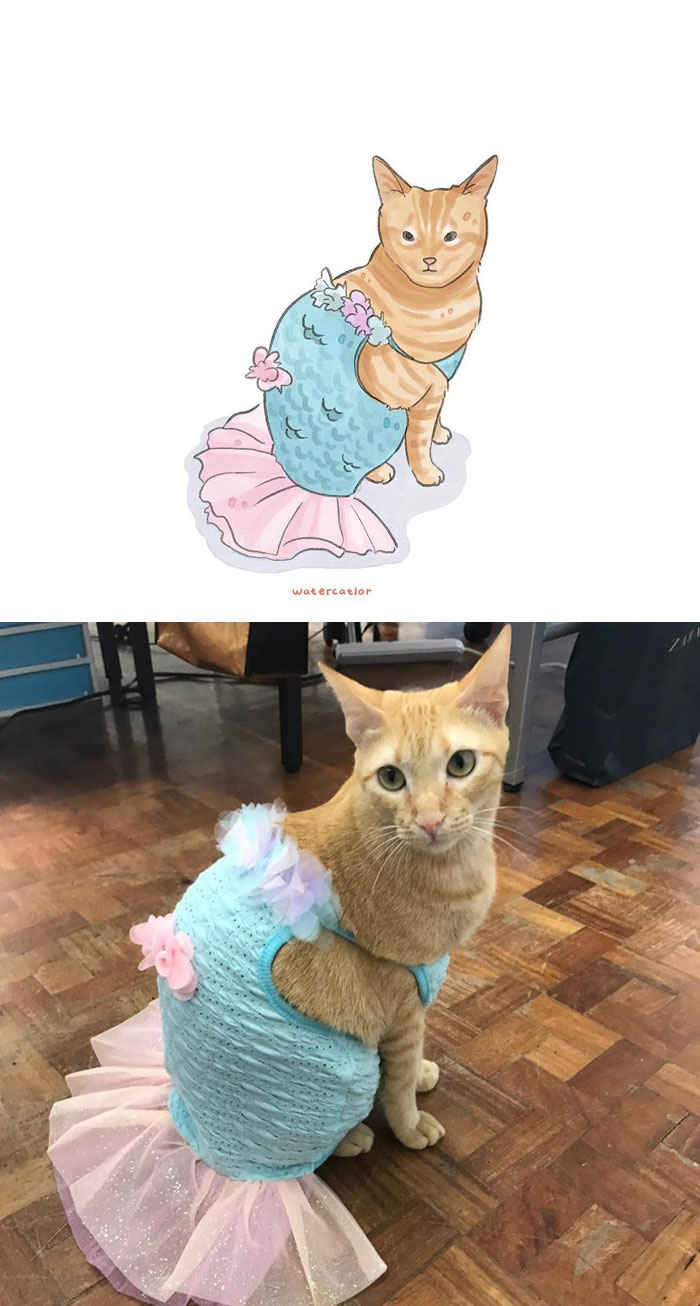 Digital-Watercolor-Cat-Paintings-Watercatlor